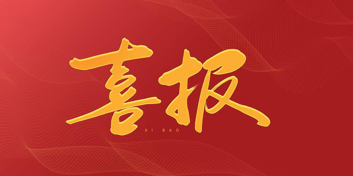 安徽科達潔能“高效清潔氣化技術(shù)產(chǎn)業(yè)創(chuàng)新團隊”榮獲“安徽省工程師團隊獎”